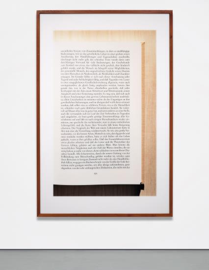 Untitled XII (Musil I)-1999 Untitled XII (Musil I)-1999