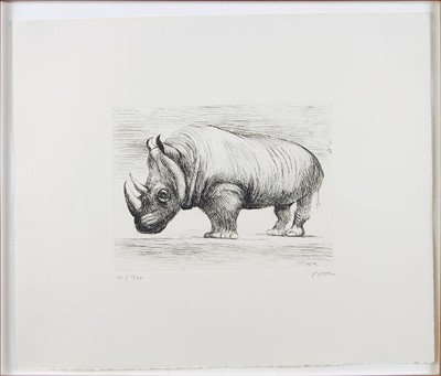 Rhinoceros- Rhinoceros-