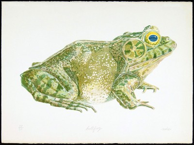 Bullfrog-1972 Bullfrog-1972