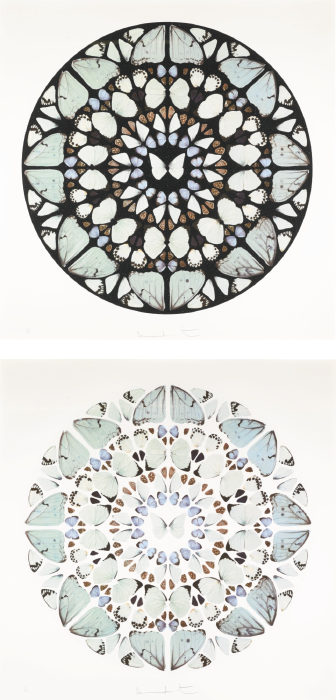 (i) Psalm: Benedictus Dominus; (ii) Psalm: Exaudi Domine-2009 (i) Psalm: Benedictus Dominus; (ii) Psalm: Exaudi Domine-2009