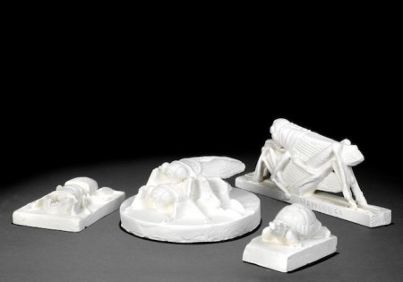 A Collection of Plaster Works: Bug, Untitled (Flies Copulating), Happiness, Untitled (Tortoise)- A Collection of Plaster Works: Bug, Untitled (Flies Copulating), Happiness, Untitled (Tortoise)-