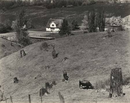 Columbia River, Oregon-1939 Columbia River, Oregon-1939