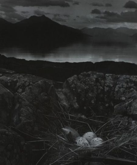Gull's Nest, Late On Midsummer Night, Isle Of Skye-1947 Gull's Nest, Late On Midsummer Night, Isle Of Skye-1947