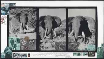 Ahmed Triptych-1962 Ahmed Triptych-1962