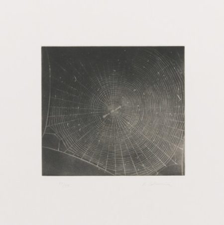 Untitled (Web 2)-2001 Untitled (Web 2)-2001