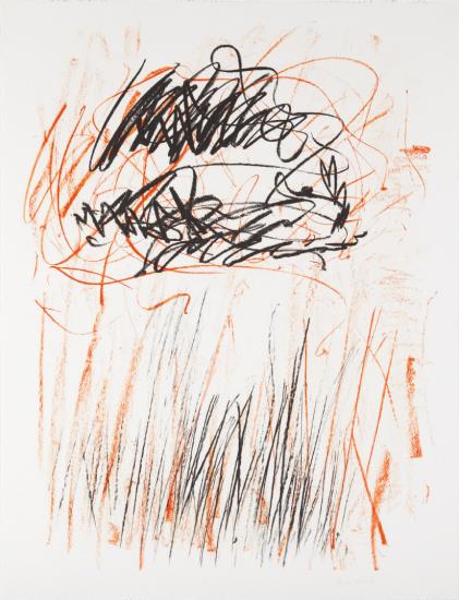 Flower II, From The Bedford Series-1981 Flower II, From The Bedford Series-1981