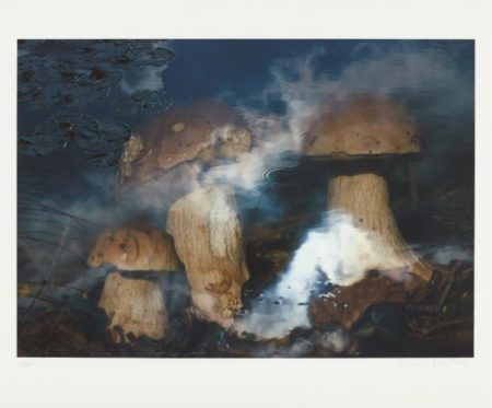 Pilze Im Wasser (Mushrooms In Water)-1998 Pilze Im Wasser (Mushrooms In Water)-1998