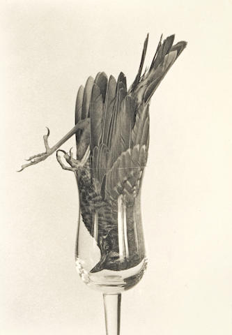 Untitled (Bird in glass)-1995 Untitled (Bird in glass)-1995