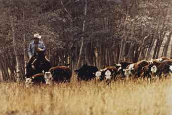 Untitled (Cowboy)-1986 Untitled (Cowboy)-1986