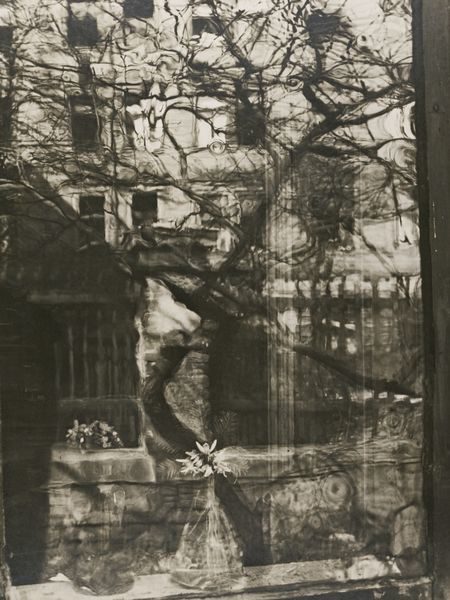 Window From Outside, Spring-1951 Window From Outside, Spring-1951