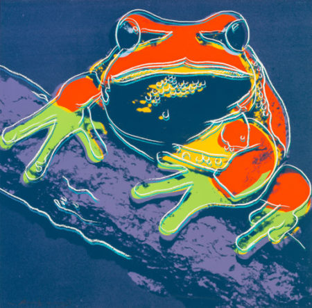Pine Barrens Tree Frogfrom the Endangered Species portfolio-1983 Pine Barrens Tree Frogfrom the Endangered Species portfolio-1983