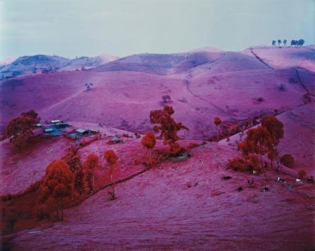 Endless Plain Of Fortune-2011 Endless Plain Of Fortune-2011