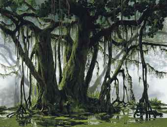 La Mangrove-2003 La Mangrove-2003