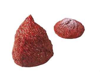 Strawberry & Strawberry 2-1994 Strawberry & Strawberry 2-1994