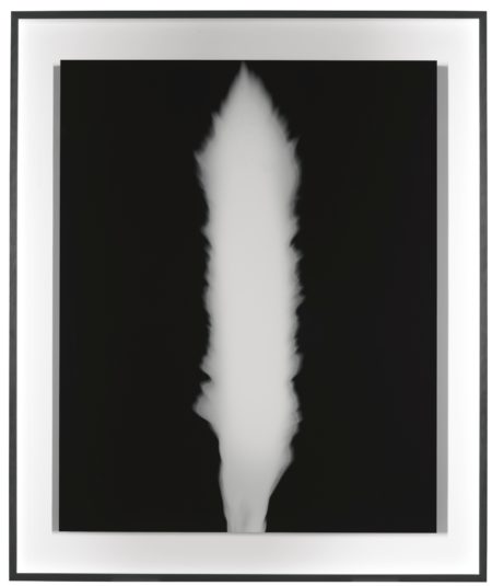 In Praise Of Shadow-1998 In Praise Of Shadow-1998