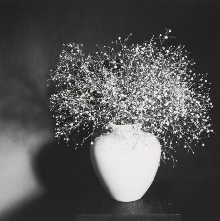 Baby's Breath-1978 Baby's Breath-1978