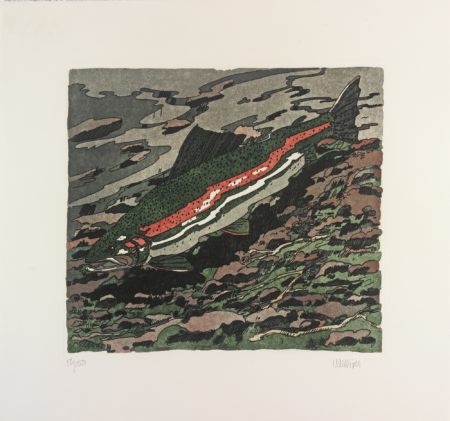 Winter Rainbow Trout-1983 Winter Rainbow Trout-1983