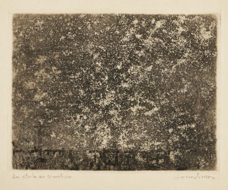 Les ÉToiles Au CimetiÈRe (D. T. E. 56)-1888 Les ÉToiles Au CimetiÈRe (D. T. E. 56)-1888