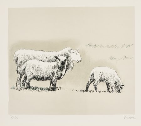 Sheep In Landscape (C. 558)-1974 Sheep In Landscape (C. 558)-1974