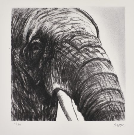 Elephant'S Head Ii (C. 607)-1981 Elephant'S Head Ii (C. 607)-1981
