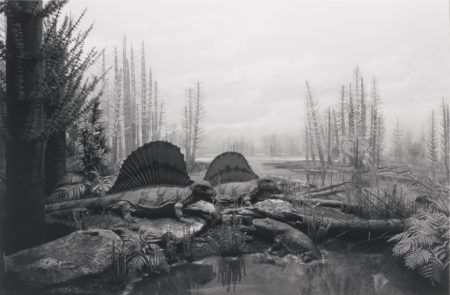 Permian-Land-1992 Permian-Land-1992