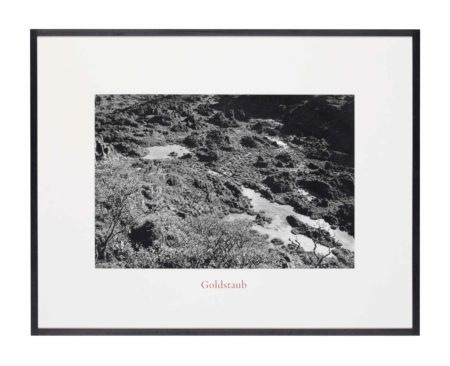 Goldstaub (Gold Dust)-1977 Goldstaub (Gold Dust)-1977