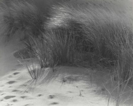Grasses-1920 Grasses-1920