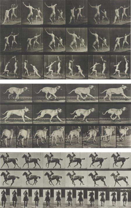 Selected Motion Studies-1887 Selected Motion Studies-1887