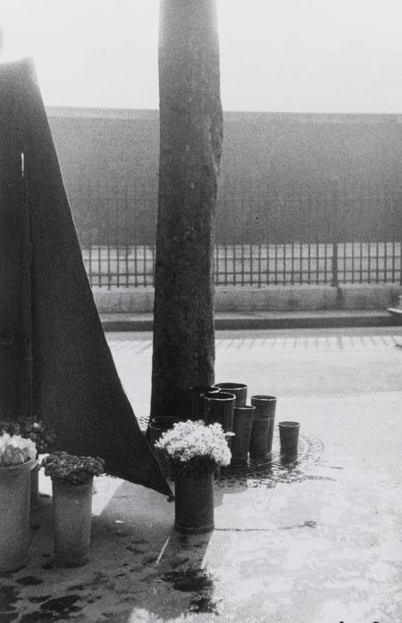 Paris-1949 Paris-1949