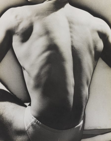 Solarized Male Torso-1930 Solarized Male Torso-1930