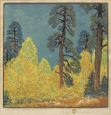 Pine and Aspen (A. 88)-1920 Pine and Aspen (A. 88)-1920