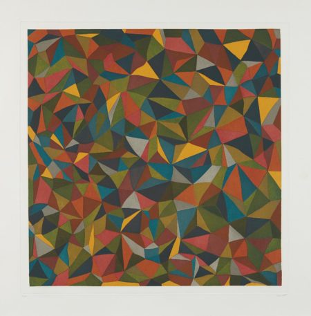 Complex Forms: Plate 1-1990 Complex Forms: Plate 1-1990