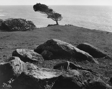 At Timber Cove, North Coast, California-1960 At Timber Cove, North Coast, California-1960