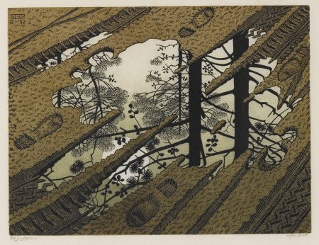 Puddle (Bool/Kist/Locher/Wierda 378)-1952 Puddle (Bool/Kist/Locher/Wierda 378)-1952