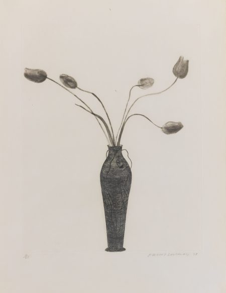 Tulips (Scottish Arts Council 158)-1973 Tulips (Scottish Arts Council 158)-1973