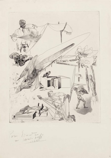 Cranes mous et harpe cranienne-1935 Cranes mous et harpe cranienne-1935