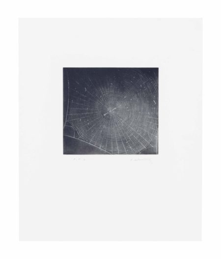 Untitled (WEB 2)-2001 Untitled (WEB 2)-2001