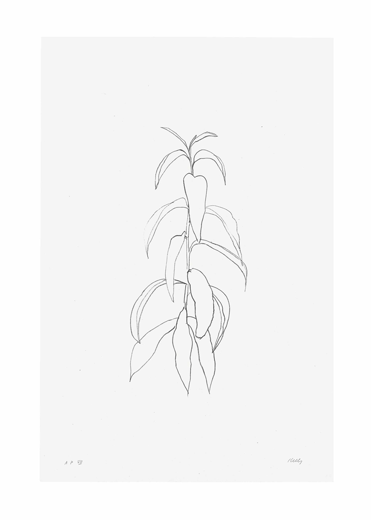 Peach Branch, from Leaves-1974 Peach Branch, from Leaves-1974