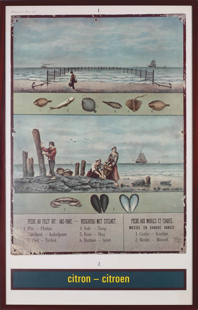 Citron - Citroen (Reclame pour la Mer du Nord) (Citron - Citroen (Advertisement for the North Sea))-1974 Citron - Citroen (Reclame pour la Mer du Nord) (Citron - Citroen (Advertisement for the North Sea))-1974
