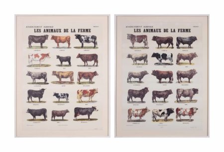 Les Animaux de la ferme (The Farm Animals)-1974 Les Animaux de la ferme (The Farm Animals)-1974