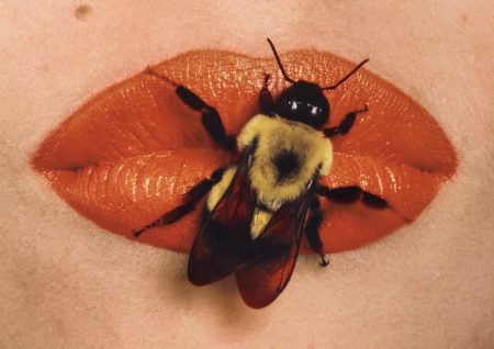 Bee On Lips, New York-1995 Bee On Lips, New York-1995