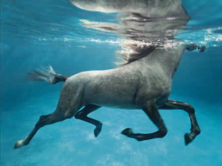 Underwater 1' Doha -2009 Underwater 1' Doha -2009