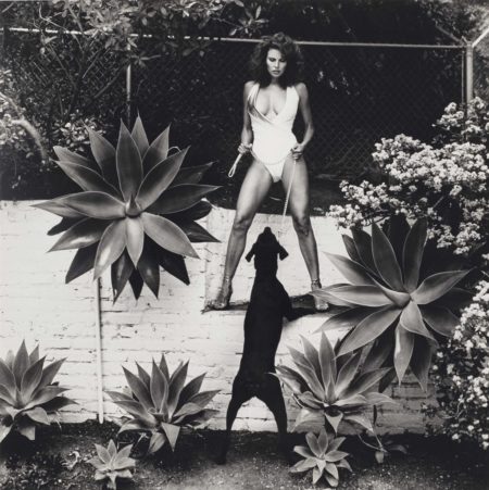 Raquel Welch in her backyard, de la serie 'Private Property, Suite III', Beverly Hills-1980 Raquel Welch in her backyard, de la serie 'Private Property, Suite III', Beverly Hills-1980