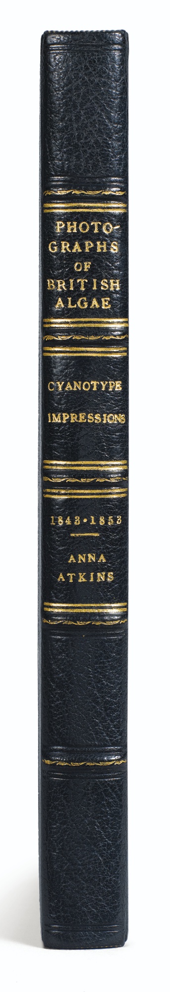 British Algae Vol. III-1853 British Algae Vol. III-1853