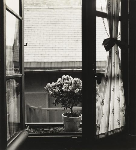 Etude De Fleurs-1934 Etude De Fleurs-1934