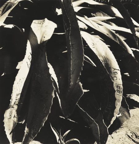California-1947 California-1947