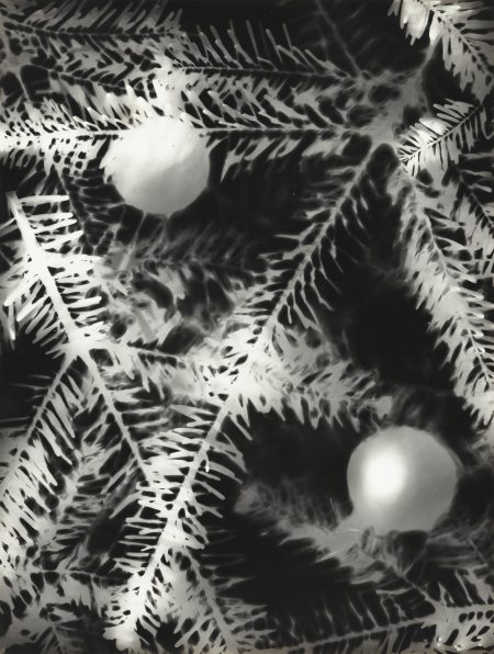 Arbre De Noel Paris-1929 Arbre De Noel Paris-1929