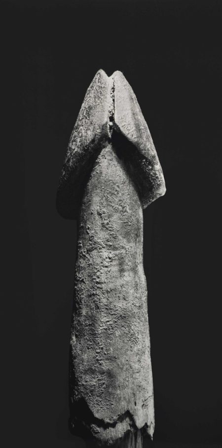 Phallus africain-2003 Phallus africain-2003