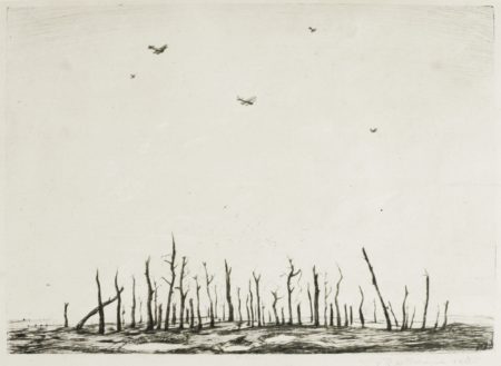 That Cursed Wood-1918 That Cursed Wood-1918