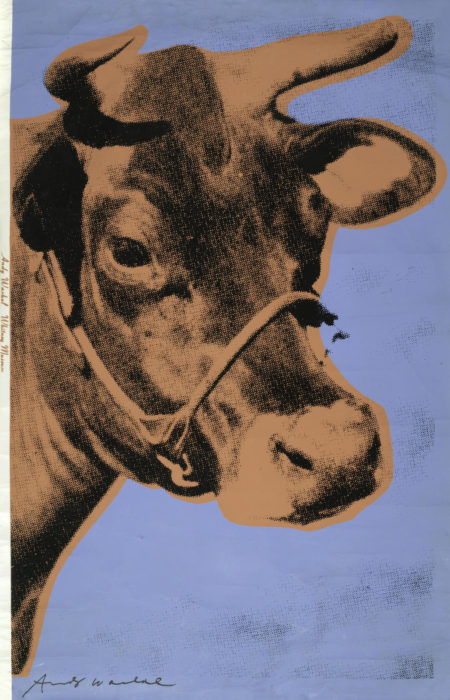 Cow (Feldman & Schellmann II.11A)-1971 Cow (Feldman & Schellmann II.11A)-1971